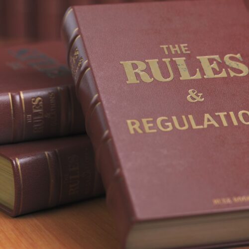 The Importance of Regulatory Access for Corporate Success